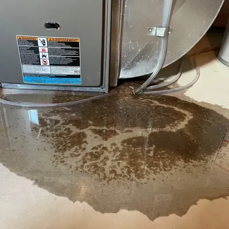 Appliance Leak Cleanup in Salem, MO